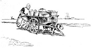 "A dog-powered cart"